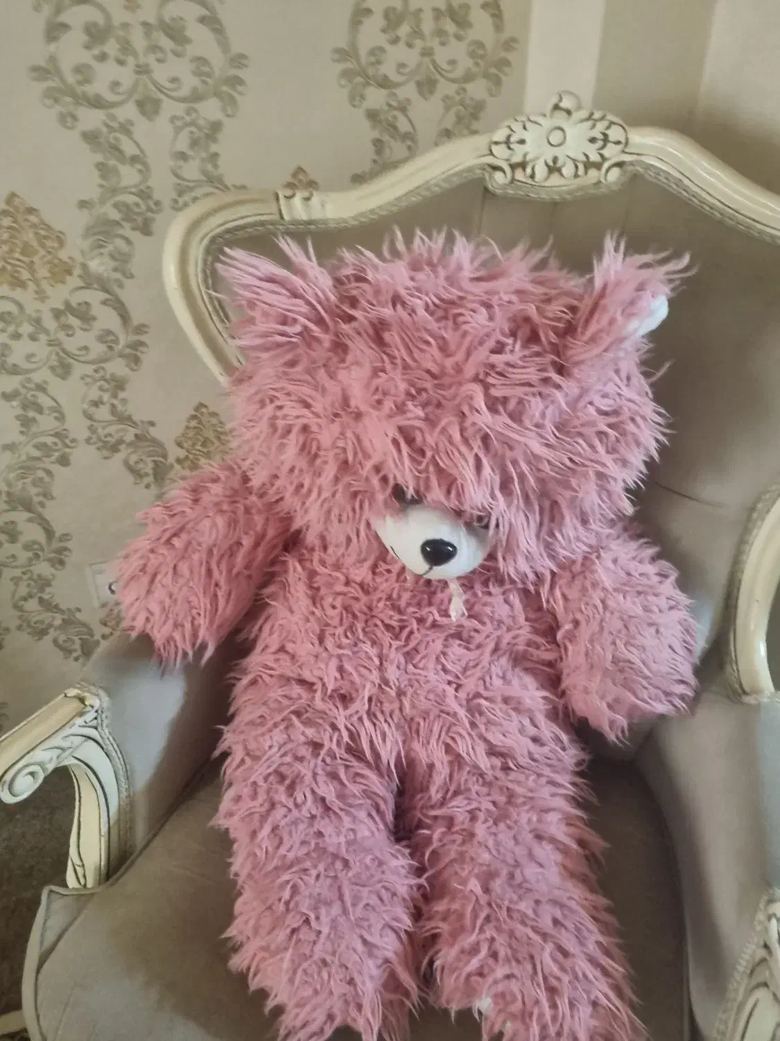 خرس بزرگ|اسباب‌بازی بچه|گنبد کاووس, |دیوار