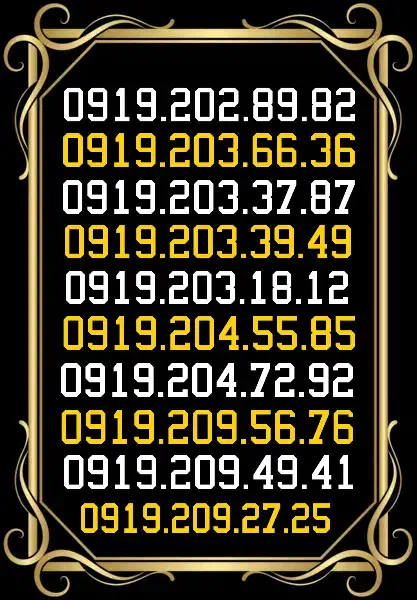 0919.203.39.49|سیم‌کارت|تهران, نارمک جنوبی|دیوار