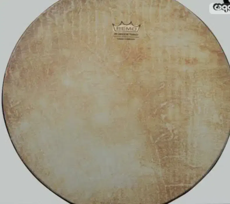 دف سما دو مهر اصل|سازهای سنتی|لاهیجان, امیرشهید|دیوار