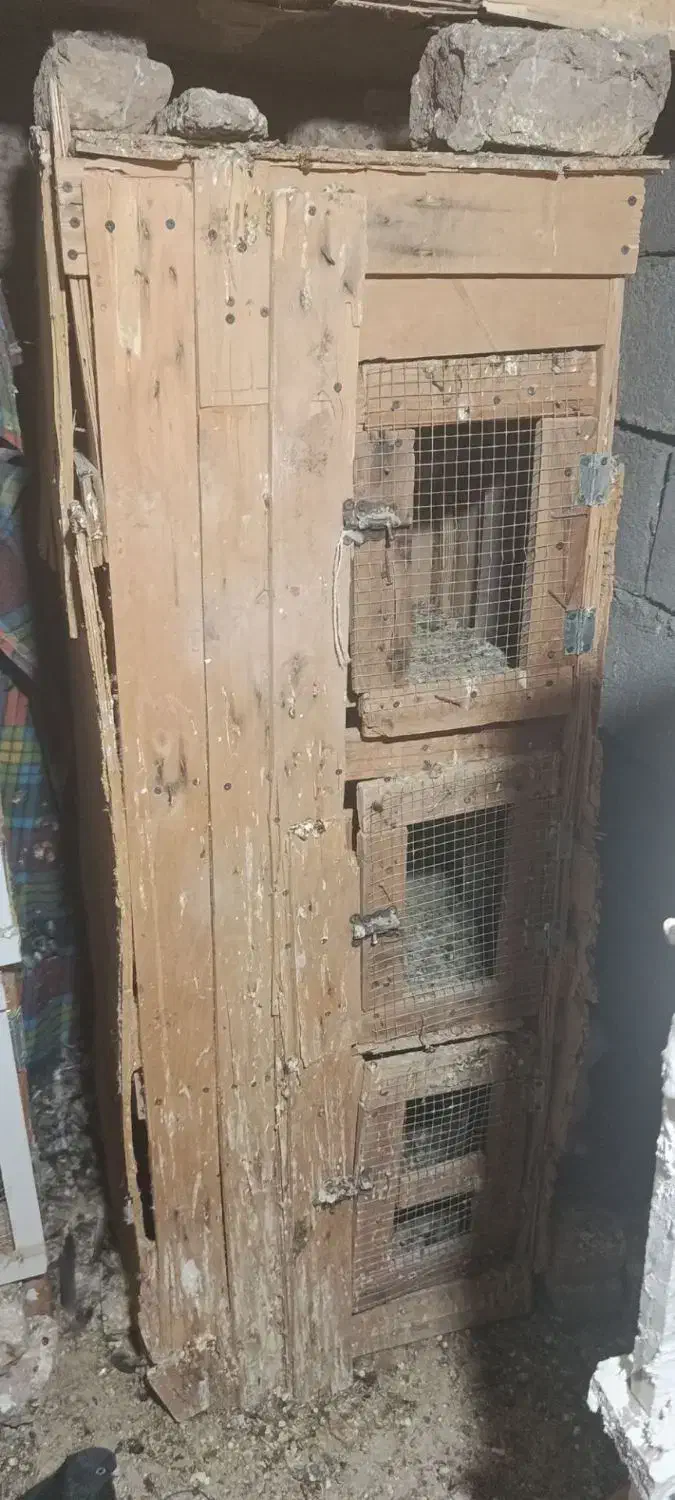 جفت کن سه طبقه|پرنده|بم, |دیوار