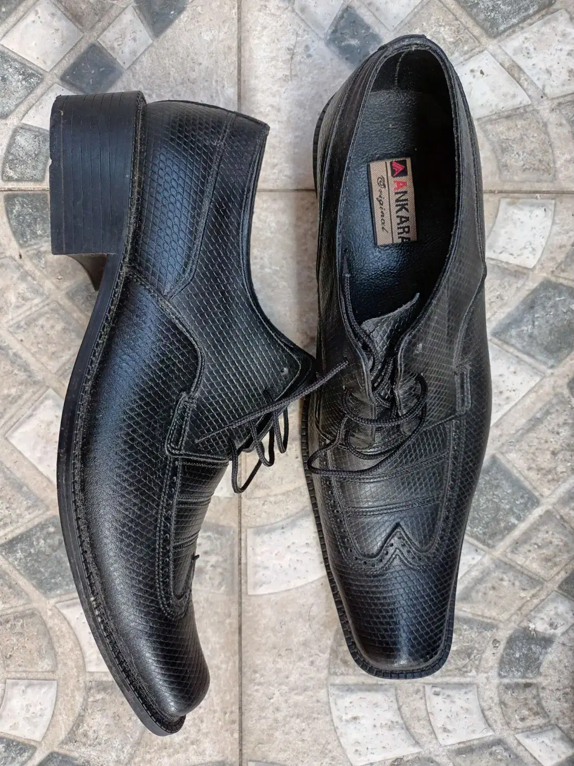 کفش مردانه چرم تبریز|کیف، کفش، کمربند|رشت, شکار اسطلخ|دیوار