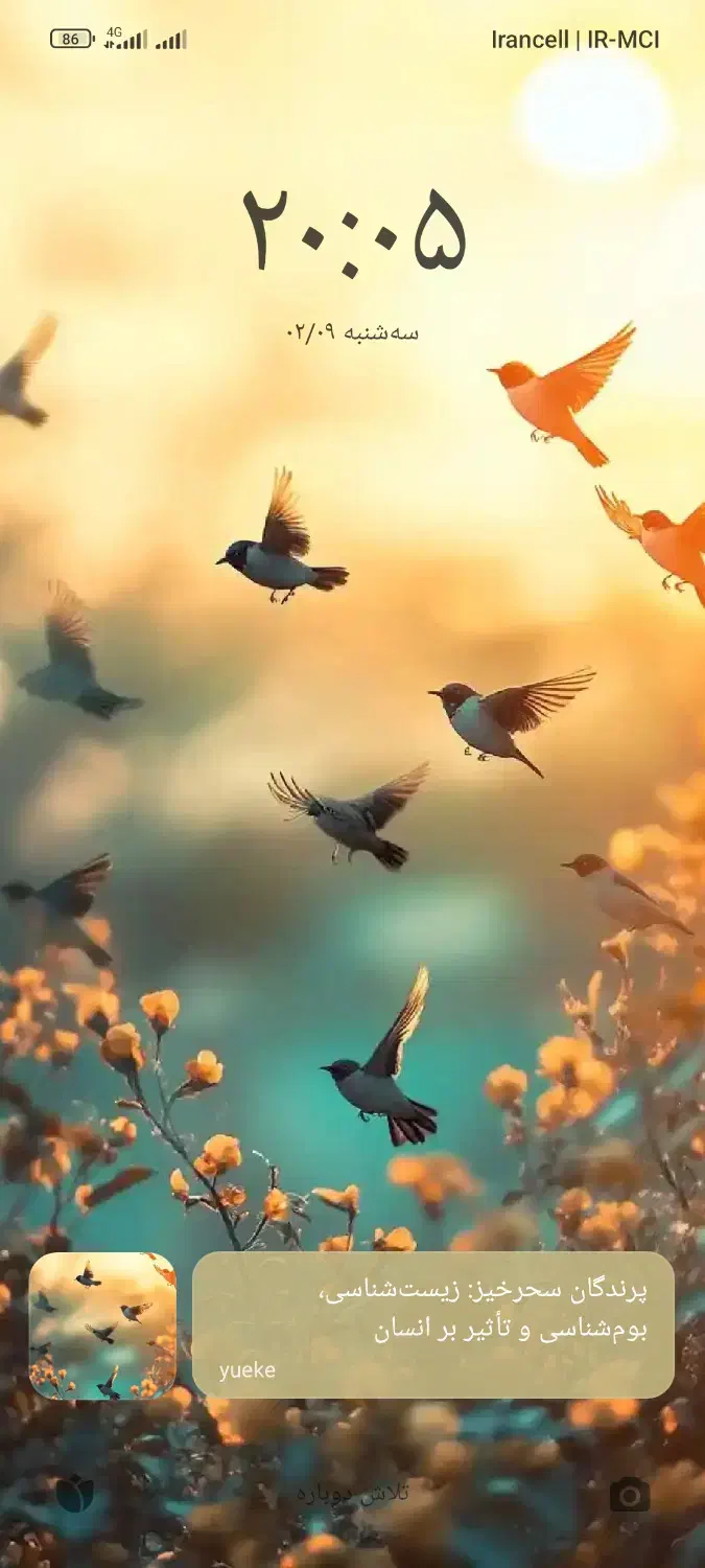 نیازمند وام|فعالیت داوطلبانه|گلپایگان, |دیوار