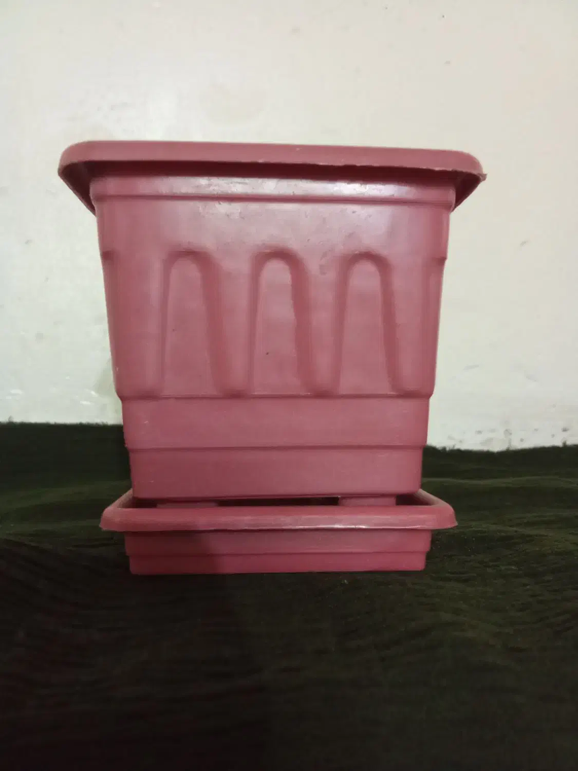 فروش گلدان ب صورت عمده|گل و گیاه طبیعی|الیگودرز, |دیوار