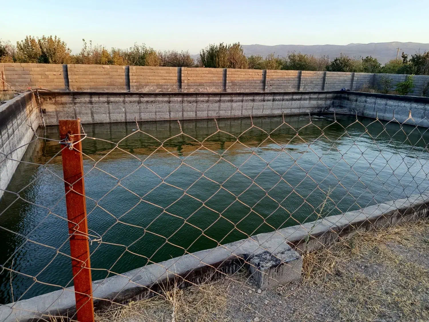 گاوداری گلخانه  13هزار متر چناران|فروش دفتر صنعتی، کشاورزی، تجاری|چناران, |دیوار