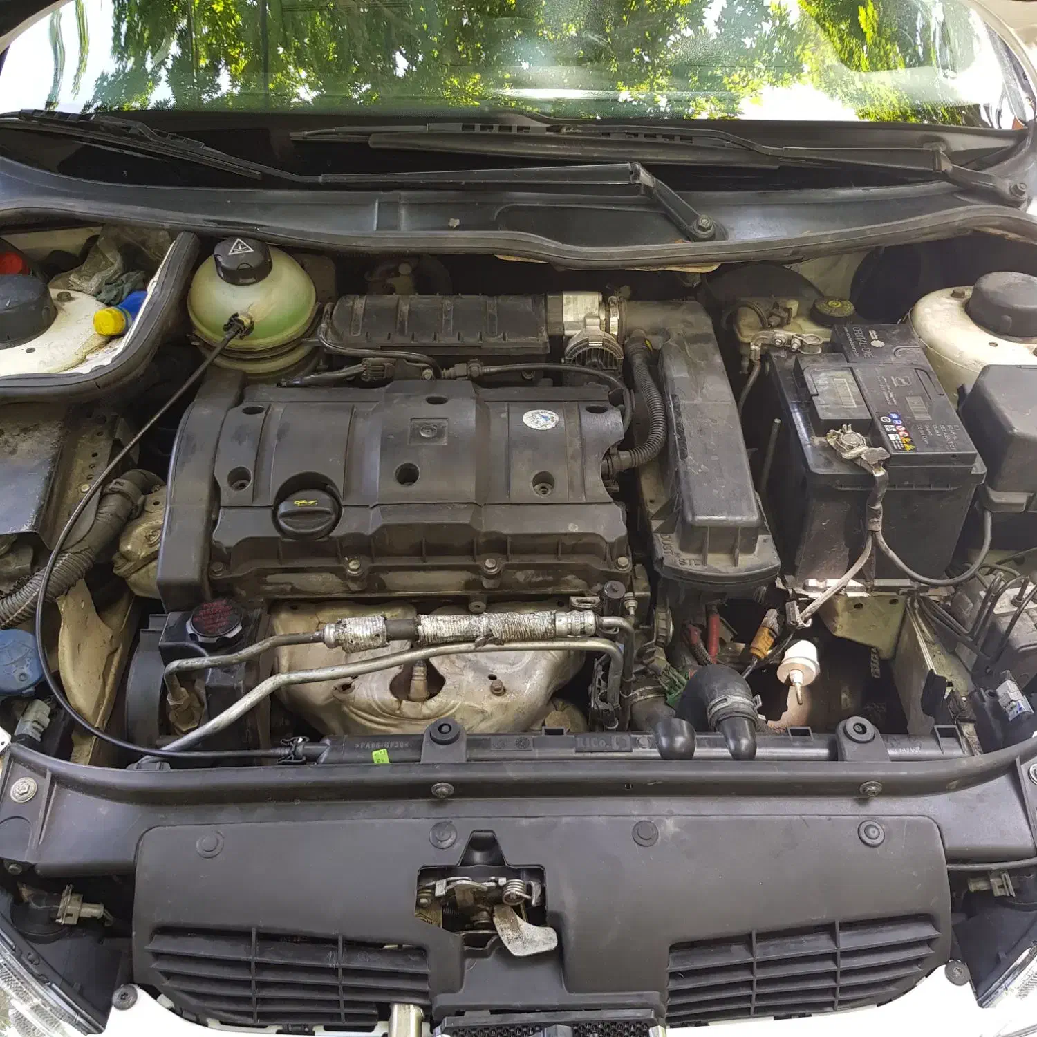 ۲۰۶ تیپ ۵ مدل ۹۰ بسیار سالم فرانسوی|خودرو سواری و وانت|کرج, باغستان|دیوار