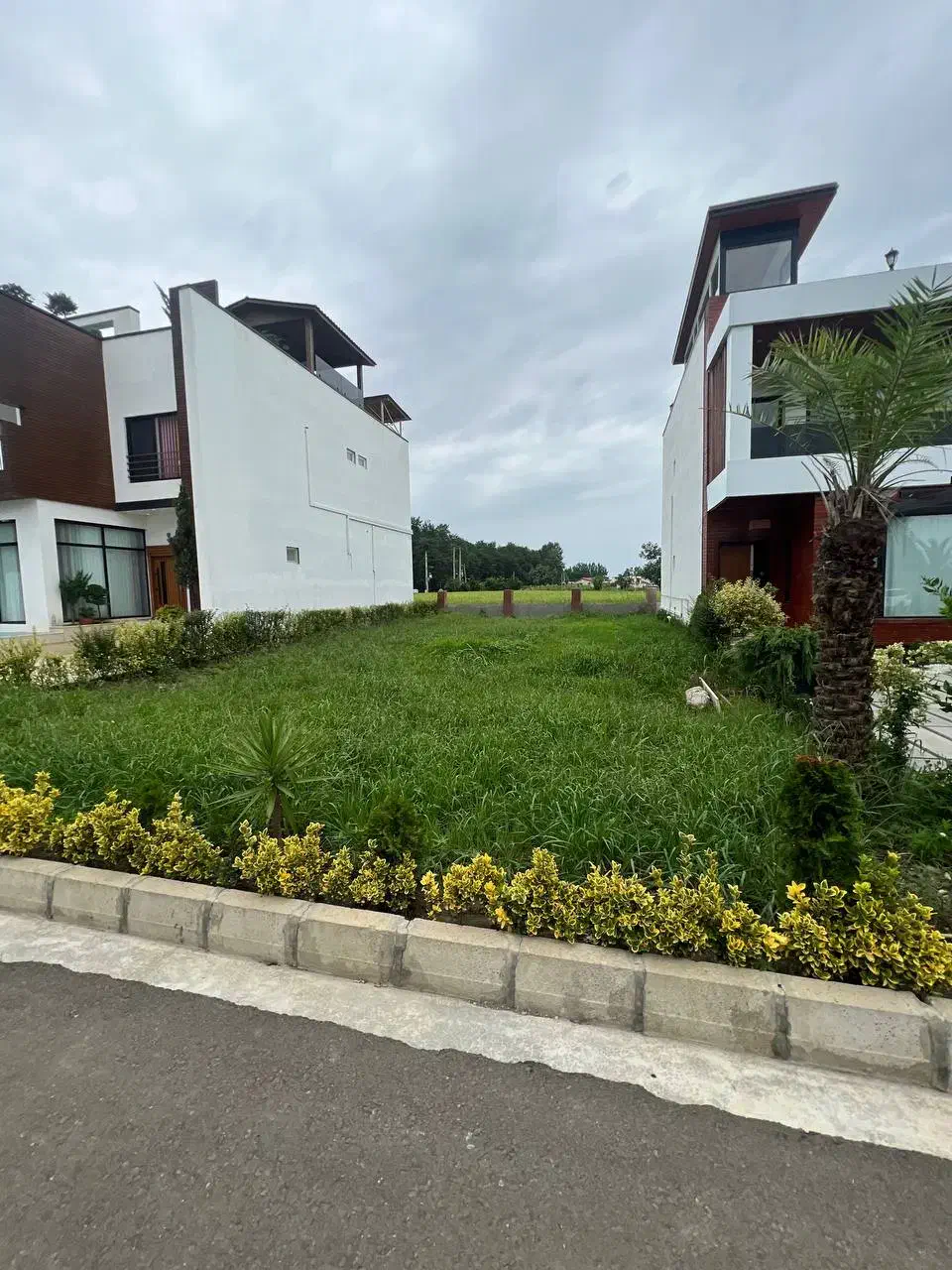 زمین ۲۷۰متری تفکیک شده/شهرکی برند/تاپ لوکیشن|فروش زمین و ملک کلنگی|چمستان, |دیوار