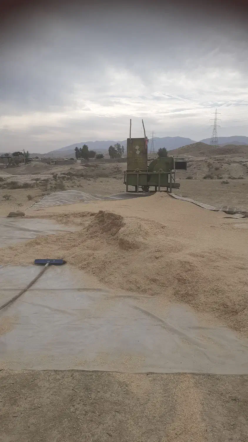 فروش کاه|خدمات باغبانی و درختکاری|دهدشت, |دیوار