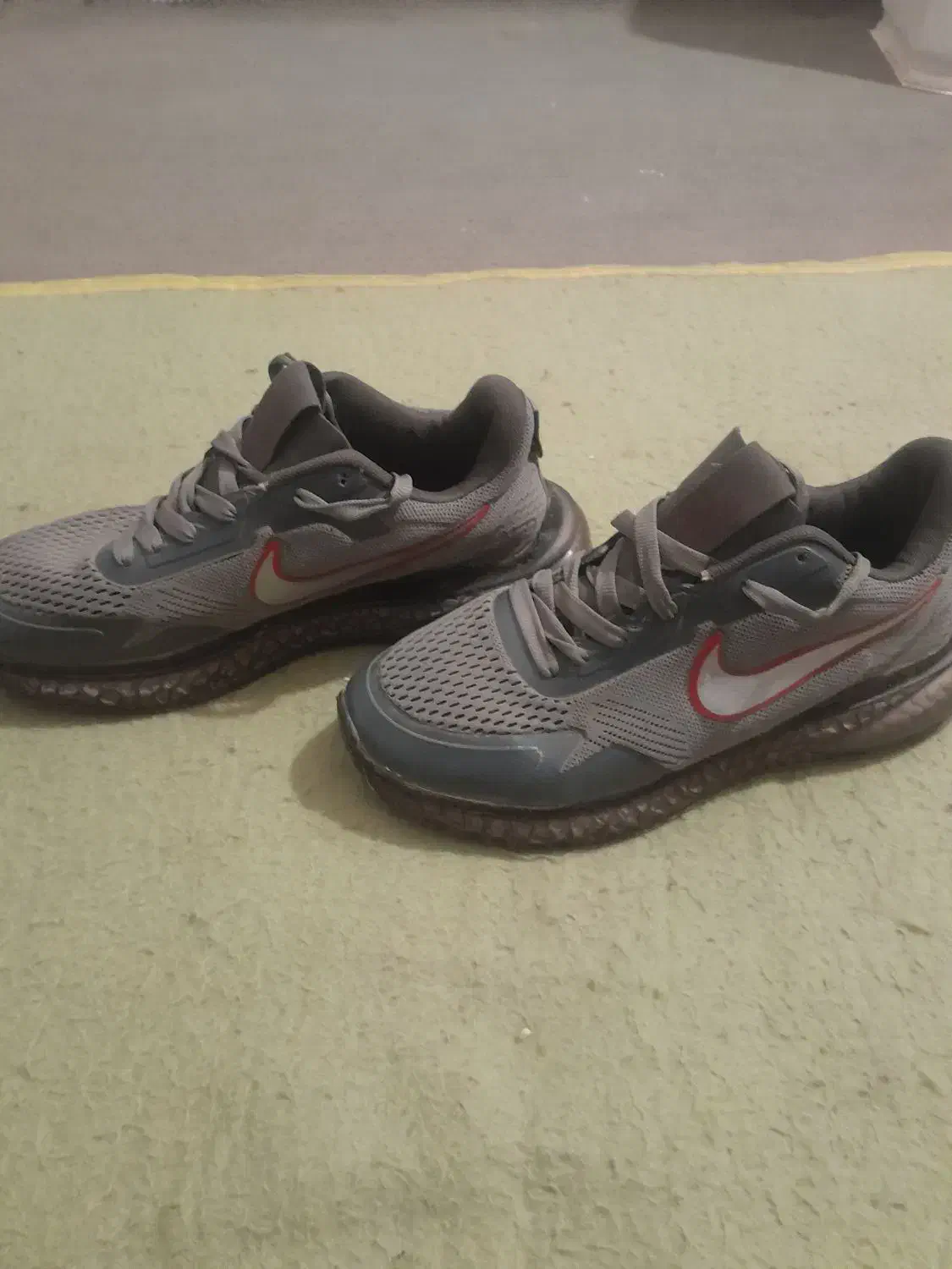 کفش|کیف، کفش، کمربند|دهدشت, |دیوار