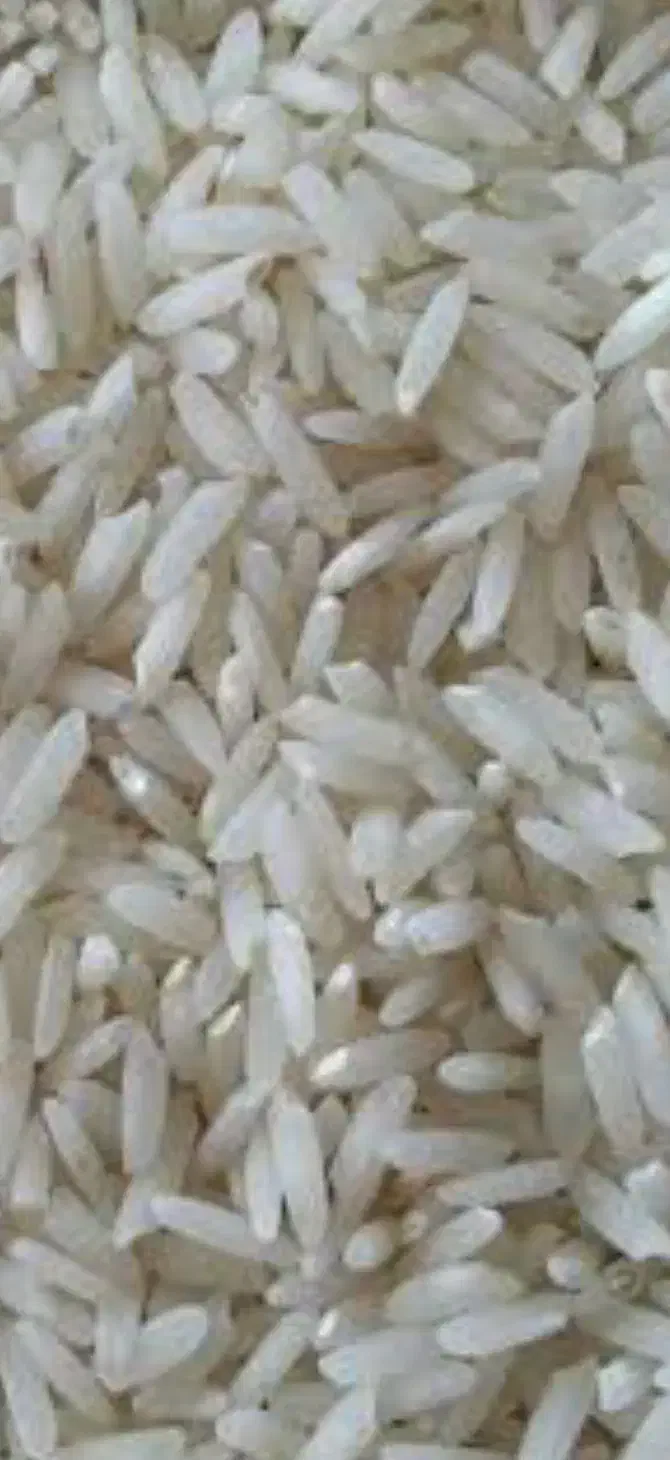 خریدار برنج پاکستانی هندی|خوردنی و آشامیدنی|تهران, کرمان|دیوار