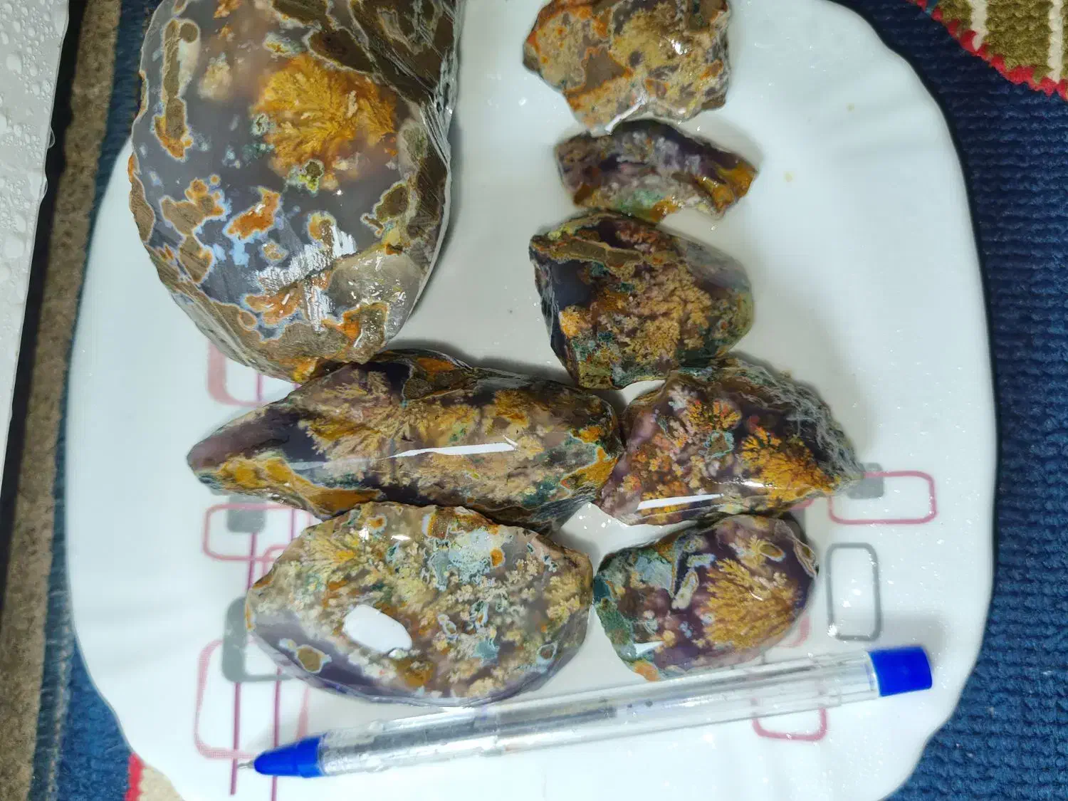 شجر|کلکسیون اشیاء عتیقه|فردوس (خراسان), |دیوار