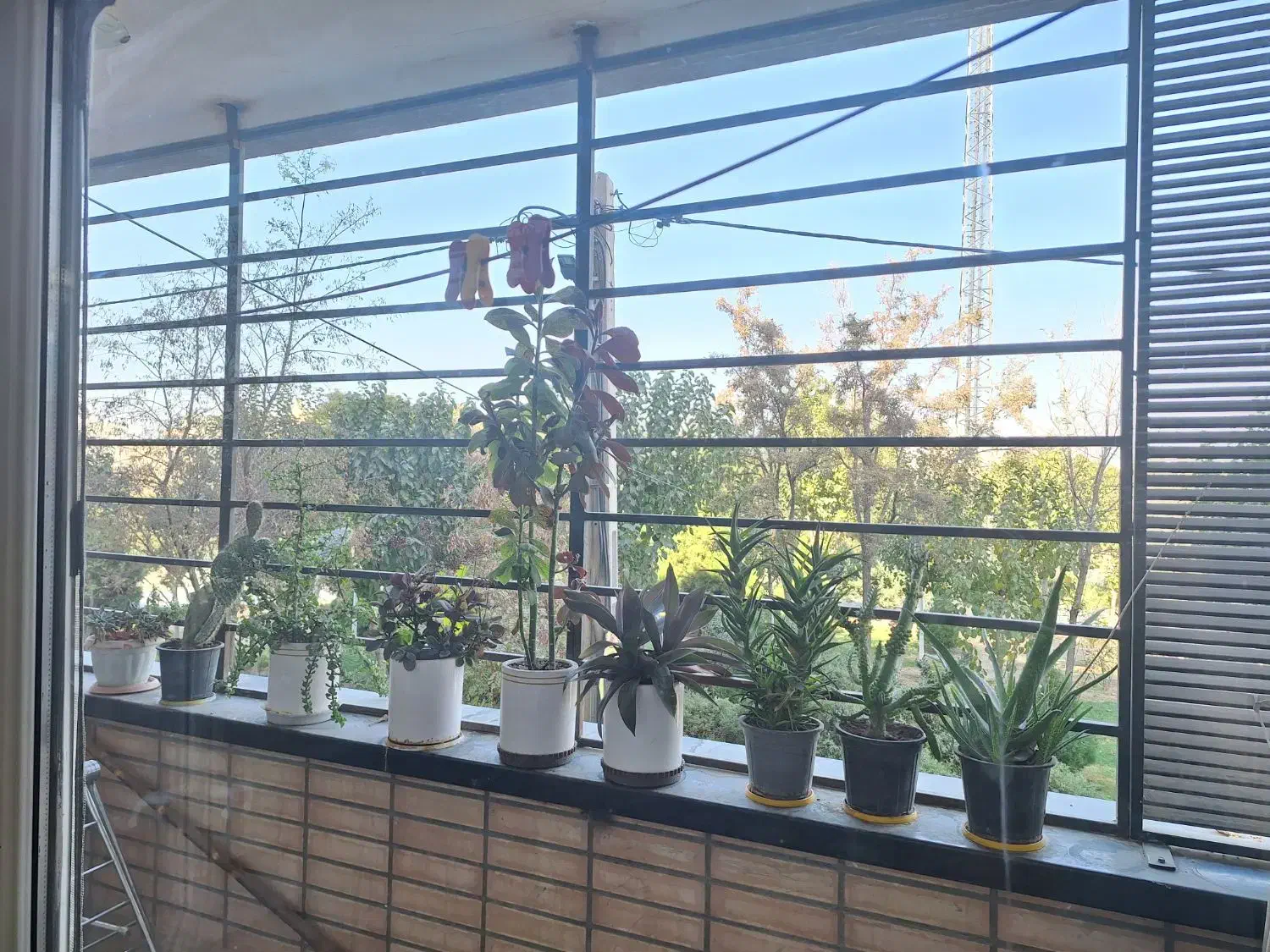 آپارتمان با ویو ابدی|فروش آپارتمان|اصفهان, خواجه عمید|دیوار