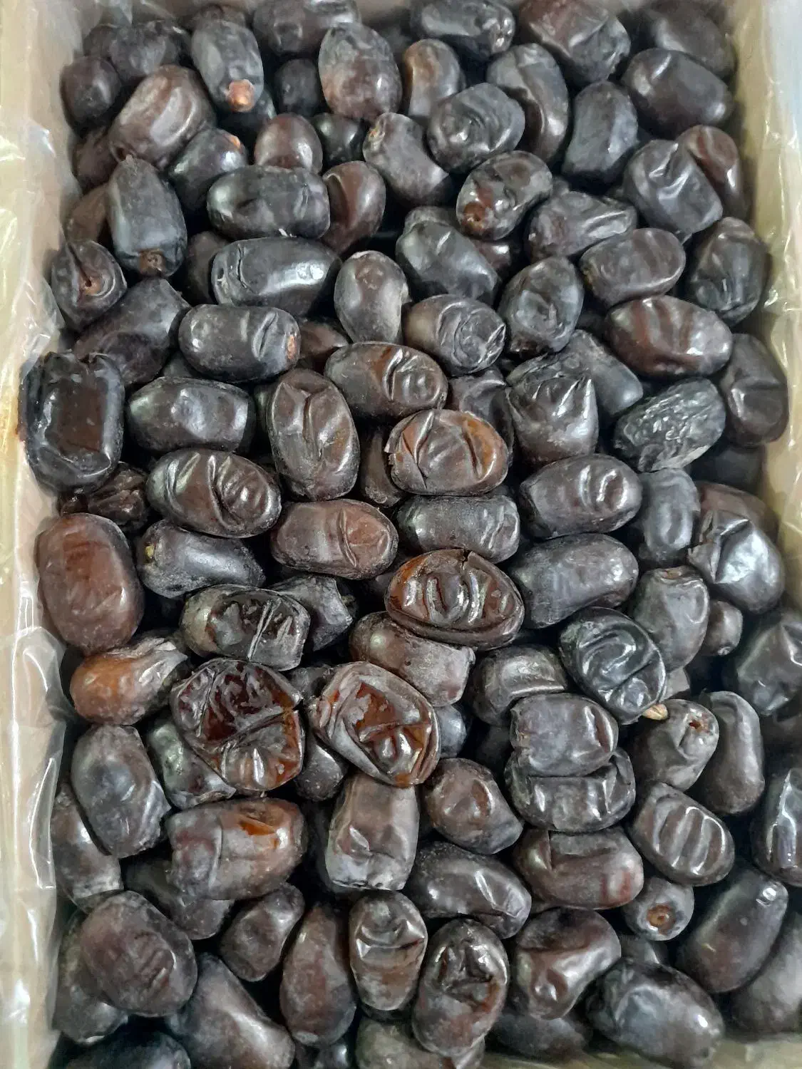 رطب درجه یک|خوردنی و آشامیدنی|مشهد, محمدآباد|دیوار