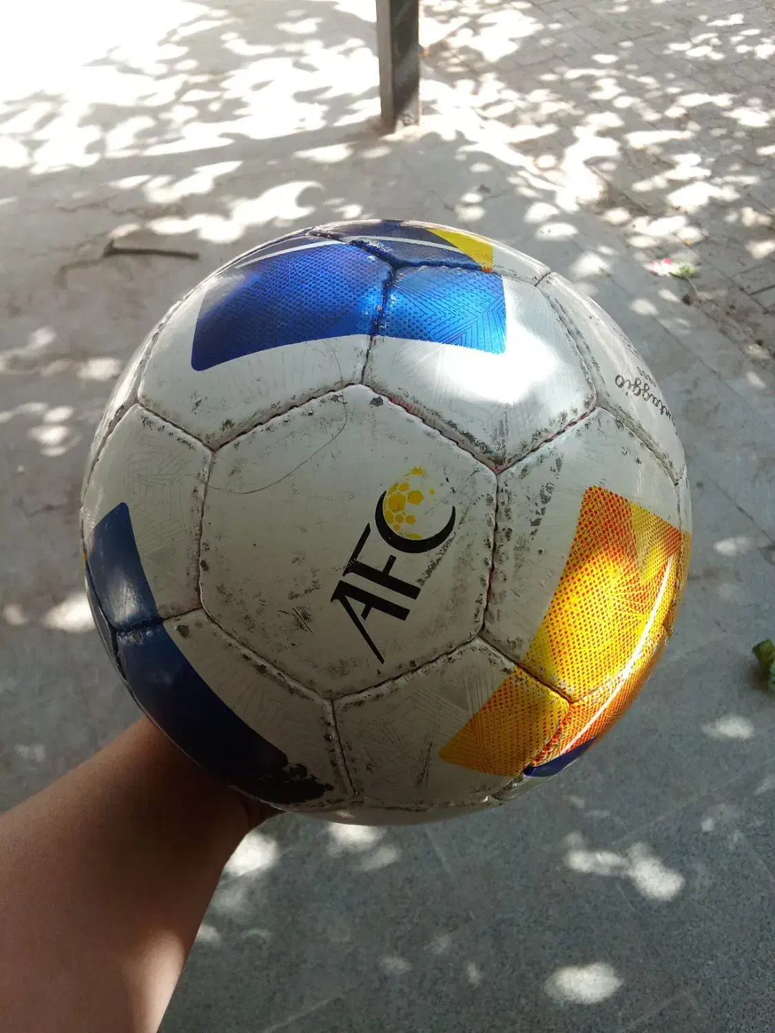 توپ چمن و سالن|ورزشهای توپی|تربت جام, حافظ|دیوار