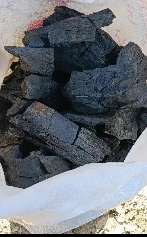 ذغال بفروش میرشد|کوهنوردی و کمپینگ|ایذه, |دیوار