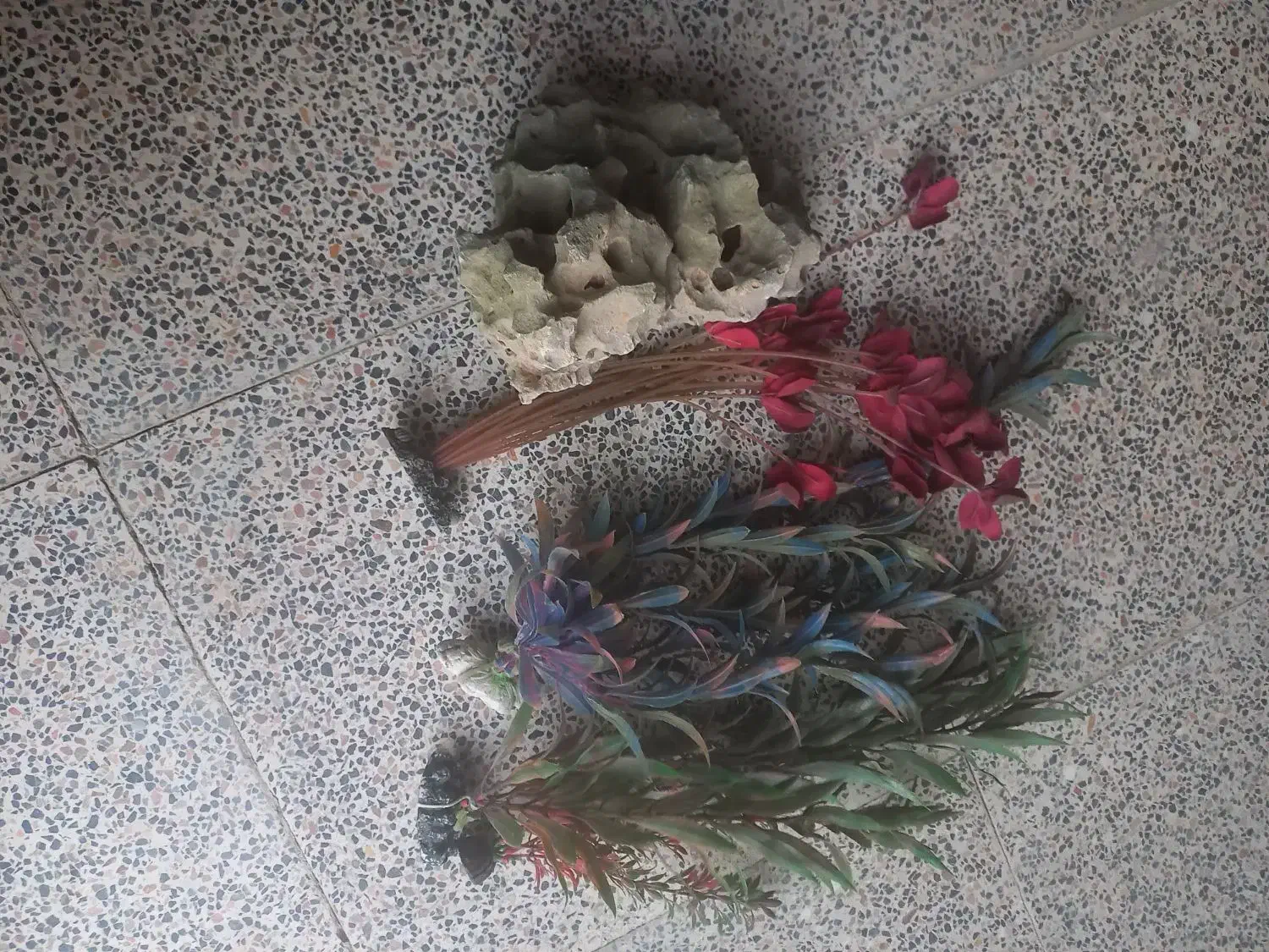 آکواریوم شیشه خم بزرگ و جا دار|ماهی|کرمانشاه, |دیوار