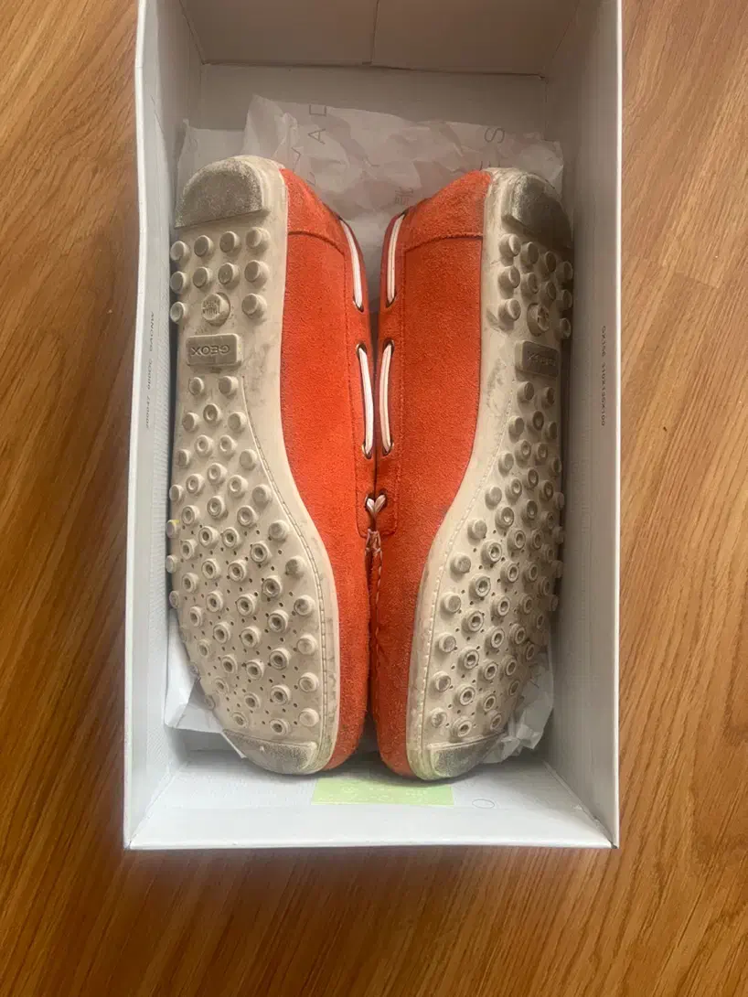 کفش Geox|کیف، کفش، کمربند|تهران, سعادت‌آباد|دیوار