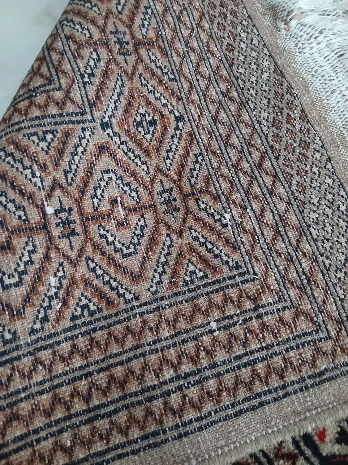 فرش دستبافت ۹متری|فرش|گرگان, |دیوار