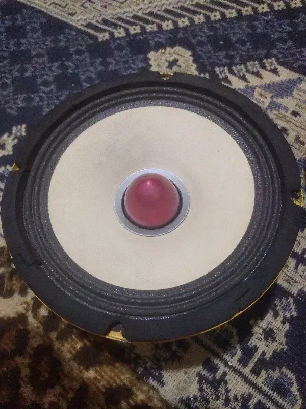 میدرنج هکتور اصلی|قطعات یدکی و لوازم جانبی|مراغه, |دیوار