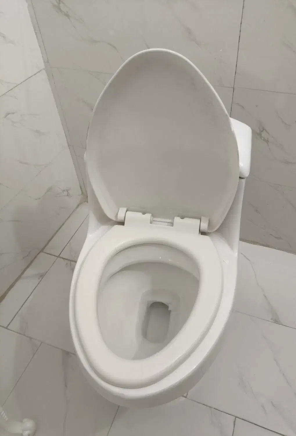 توالت فرنگی انیکس|لوازم سرویس بهداشتی|باغستان, |دیوار