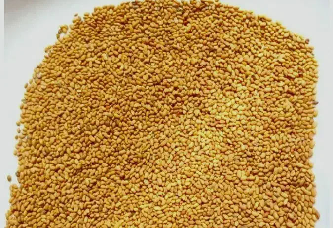 بذر یونجه|خدمات باغبانی و درختکاری|شیراز, رکن‌آباد|دیوار