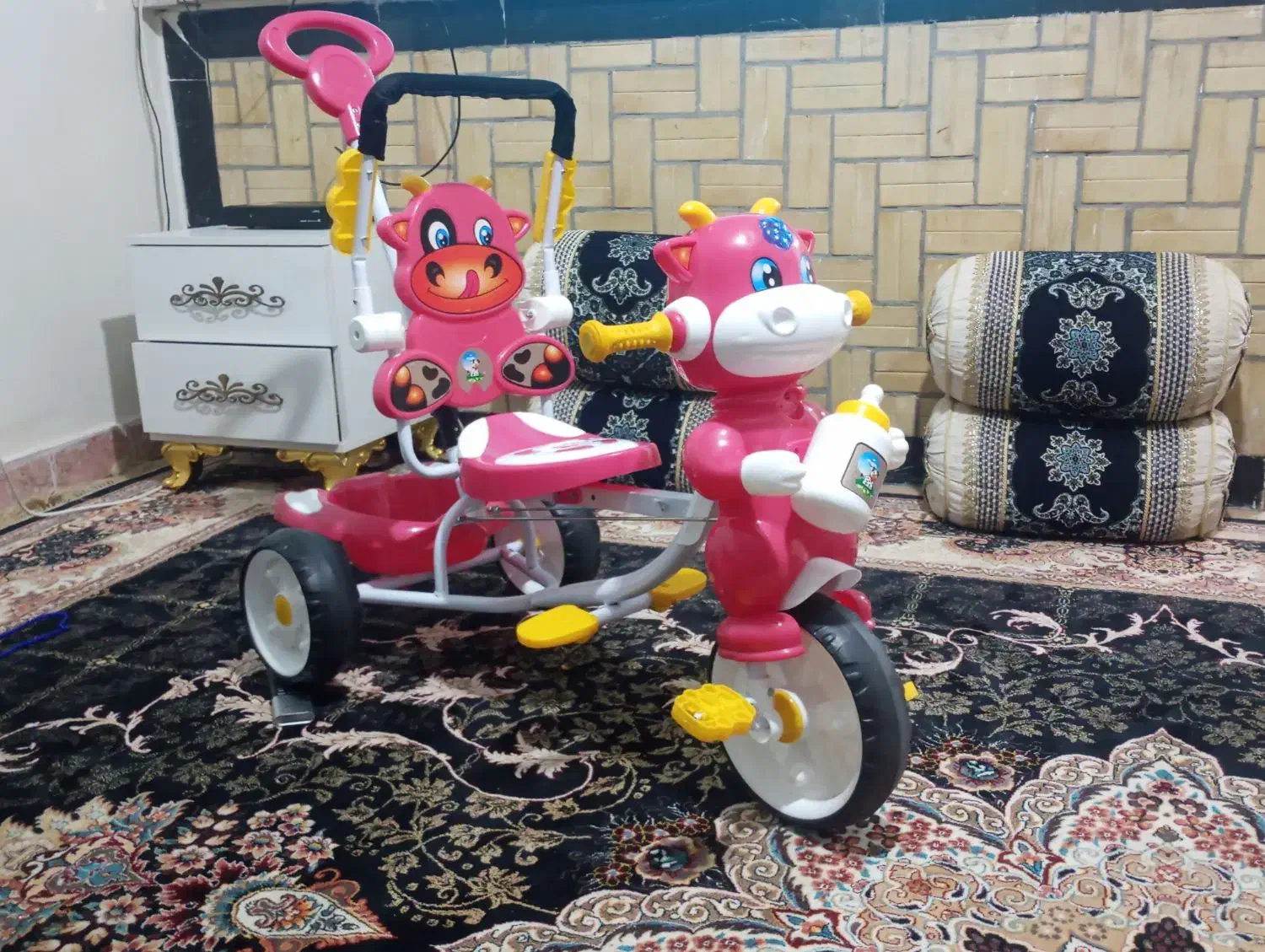 دوچرخه کودک|دوچرخه، اسکیت، اسکوتر|یاسوج, |دیوار