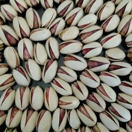 پسته اکبری درشت مناسب شب یلدا|عمدهفروشی|یزد, |دیوار