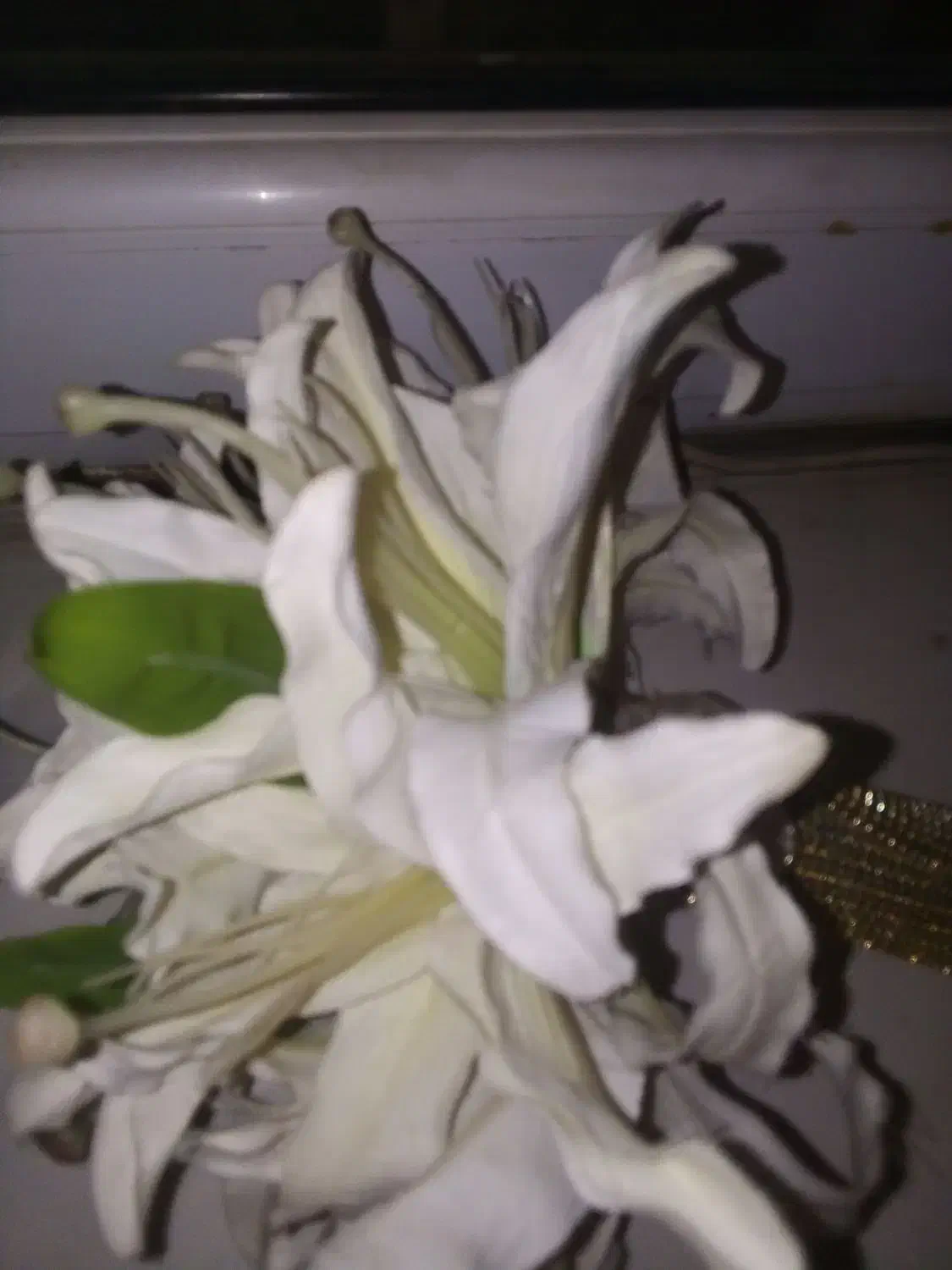 خط تلفن ثابت|تلفن رومیزی|ارومیه, |دیوار