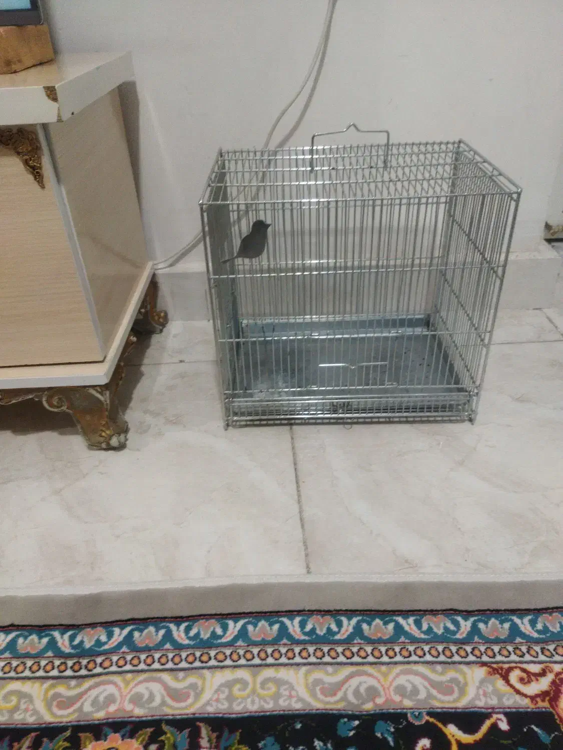 قفس زیبا ومحکم سایز متوسط|لوازم جانبی حیوانات|ایلام, |دیوار