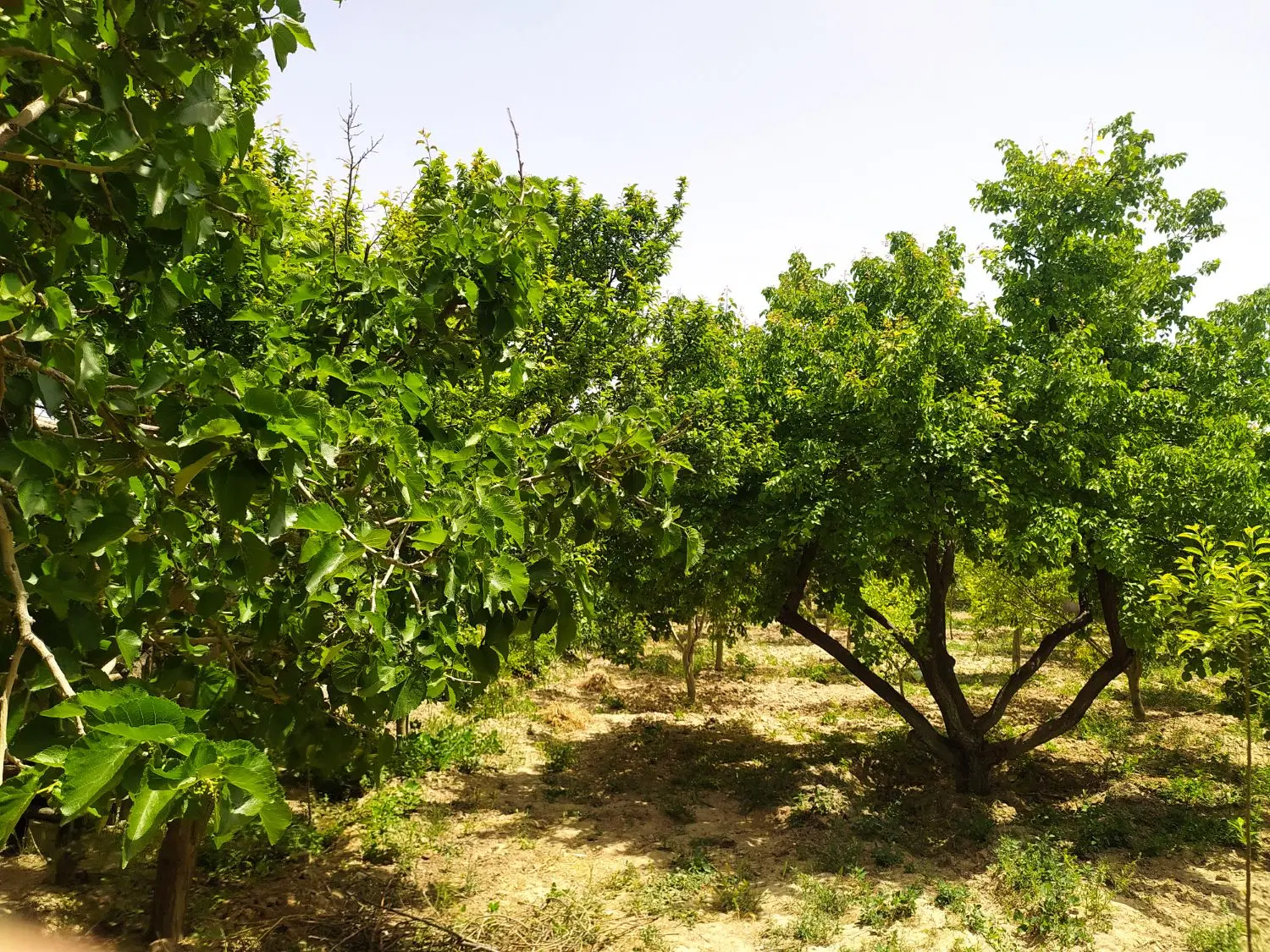 تصویر 7