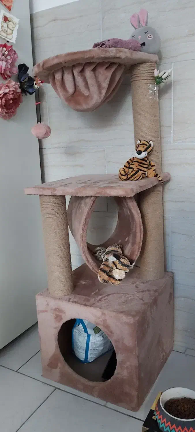 درخت بازی گربه- ۱۱۶×۴۰ (ارتفاع و پهنا)|لوازم جانبی حیوانات|تهران, قیطریه|دیوار