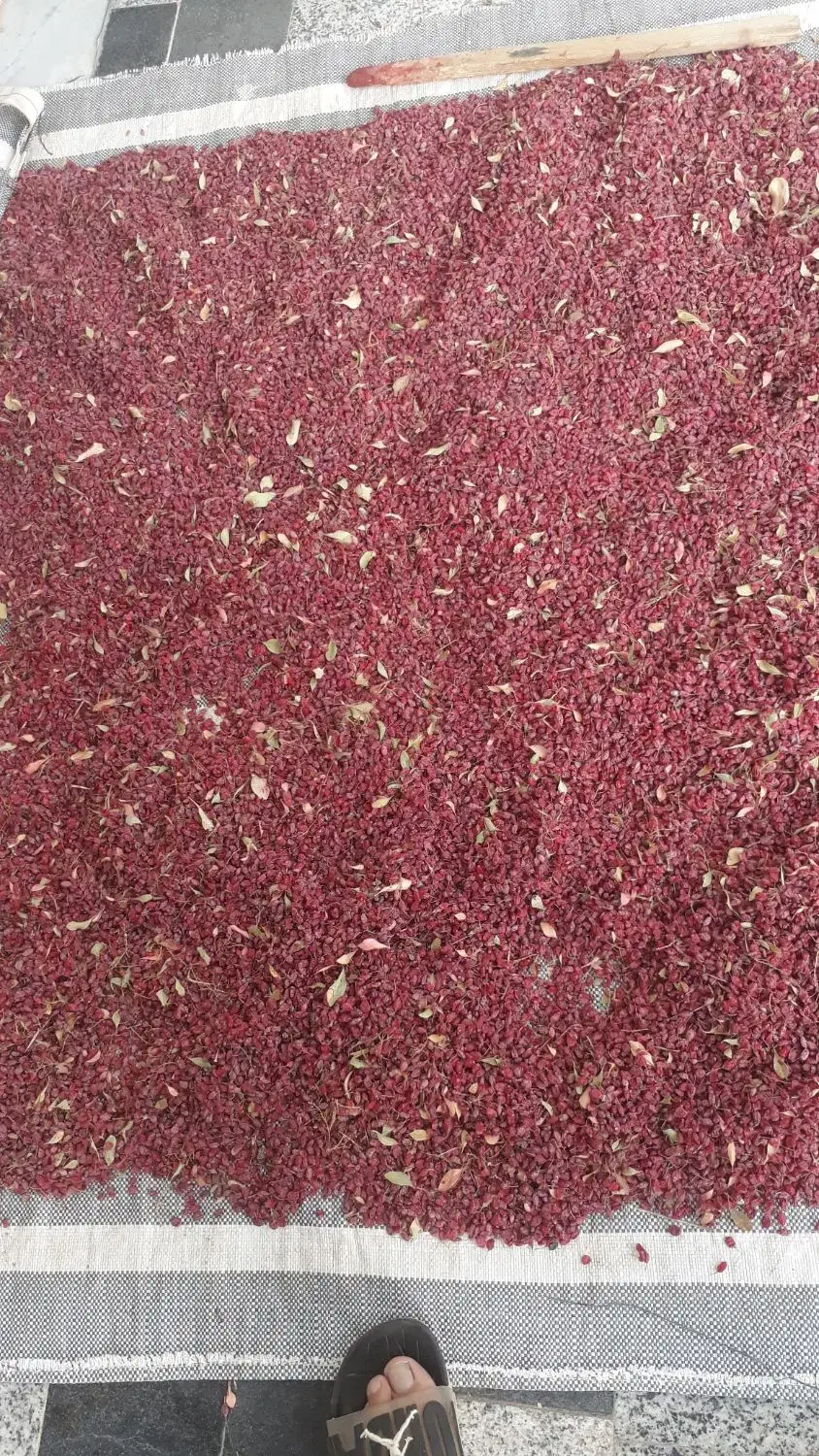 ز رشک|خوردنی و آشامیدنی|قائن, |دیوار