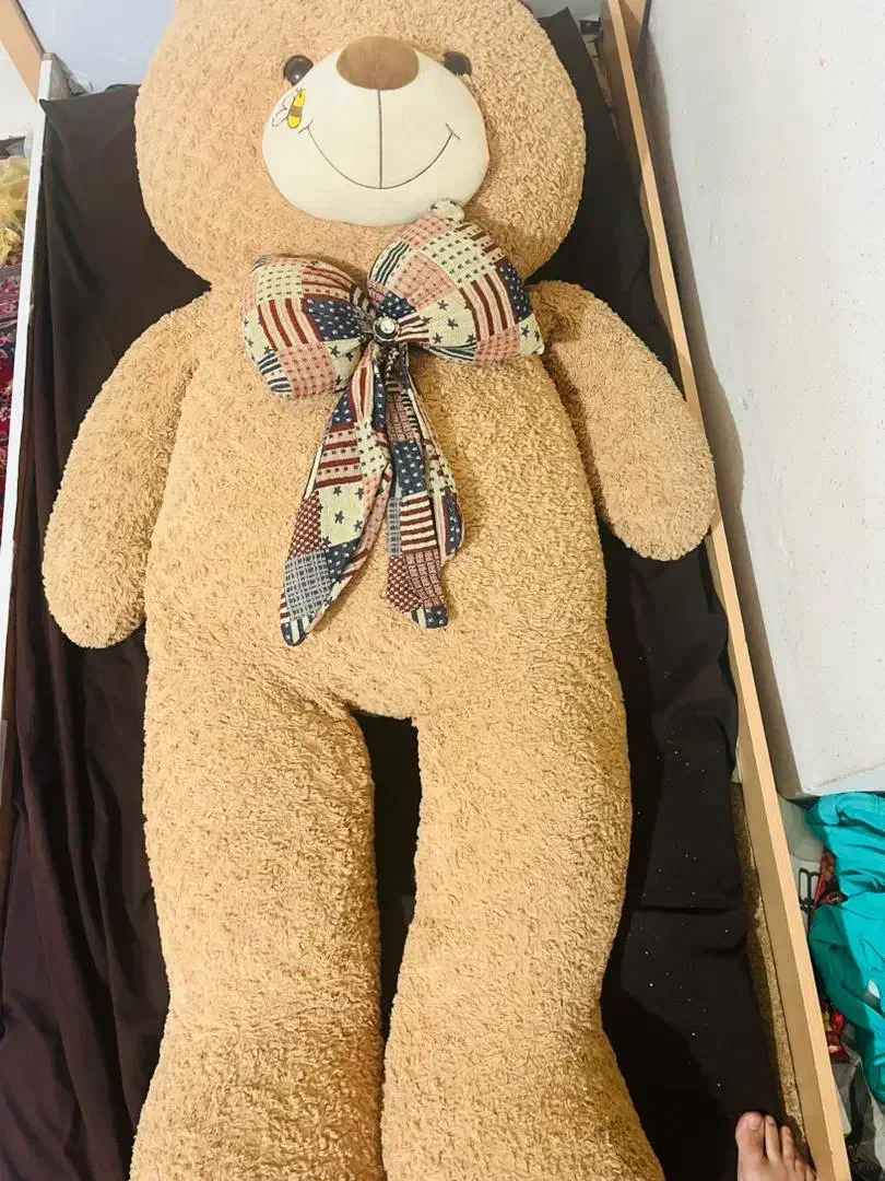 خرس بزرگ|اسباب‌بازی بچه|دهدشت, |دیوار