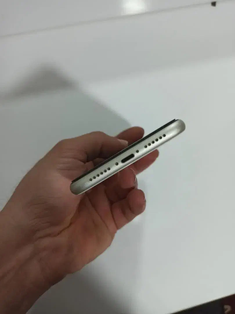 iphone 11|موبایل|آزادشهر, |دیوار