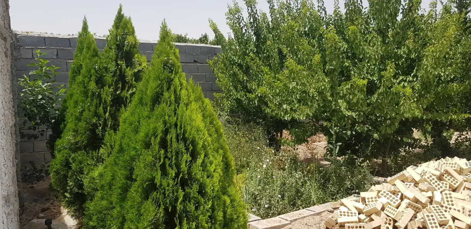 باغ نیمه کاره 530 متری برق کنتور و سند و چاه|فروش زمین و ملک کلنگی|اصفهان, براآن شمالی|دیوار