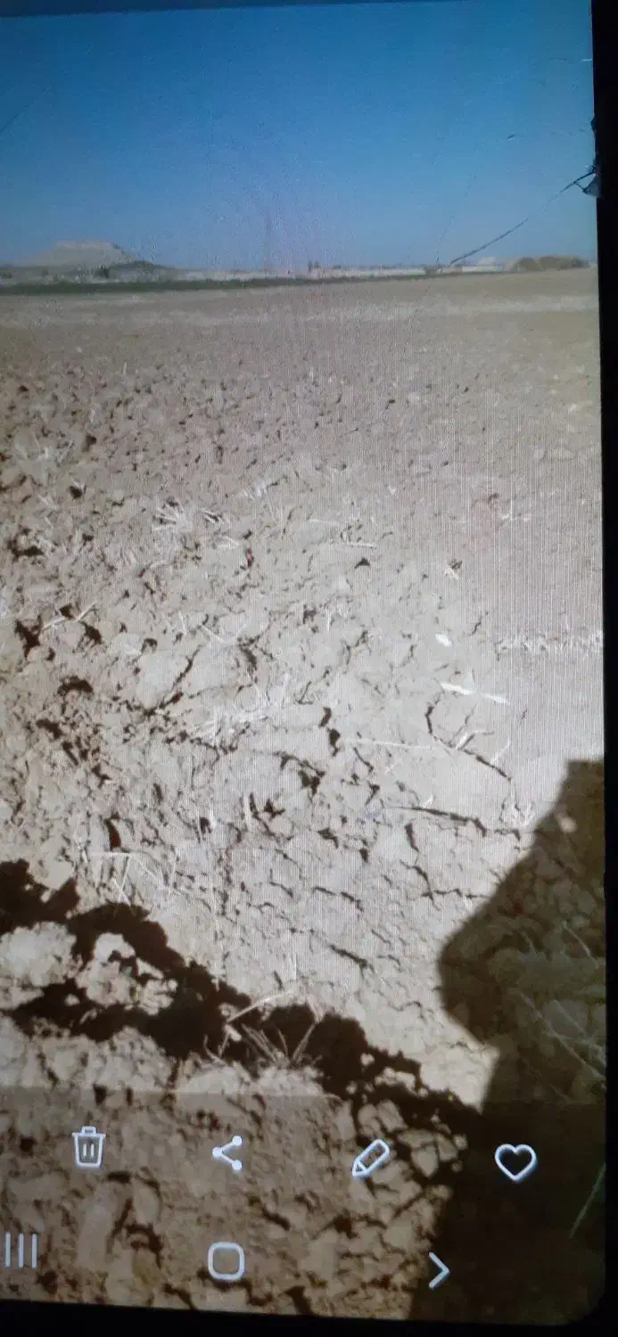 اجاره زمین کشاورزی|اجارهٔ دفتر صنعتی، کشاورزی، تجاری|میاندوآب, |دیوار