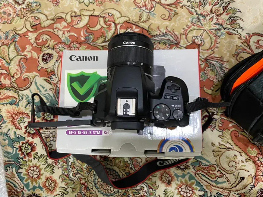 دوربین عکاسی کانن Canon EOS 250D Kit EF-S-55|دوربین عکاسی و فیلم‌برداری|لاهیجان, شیشه گران|دیوار