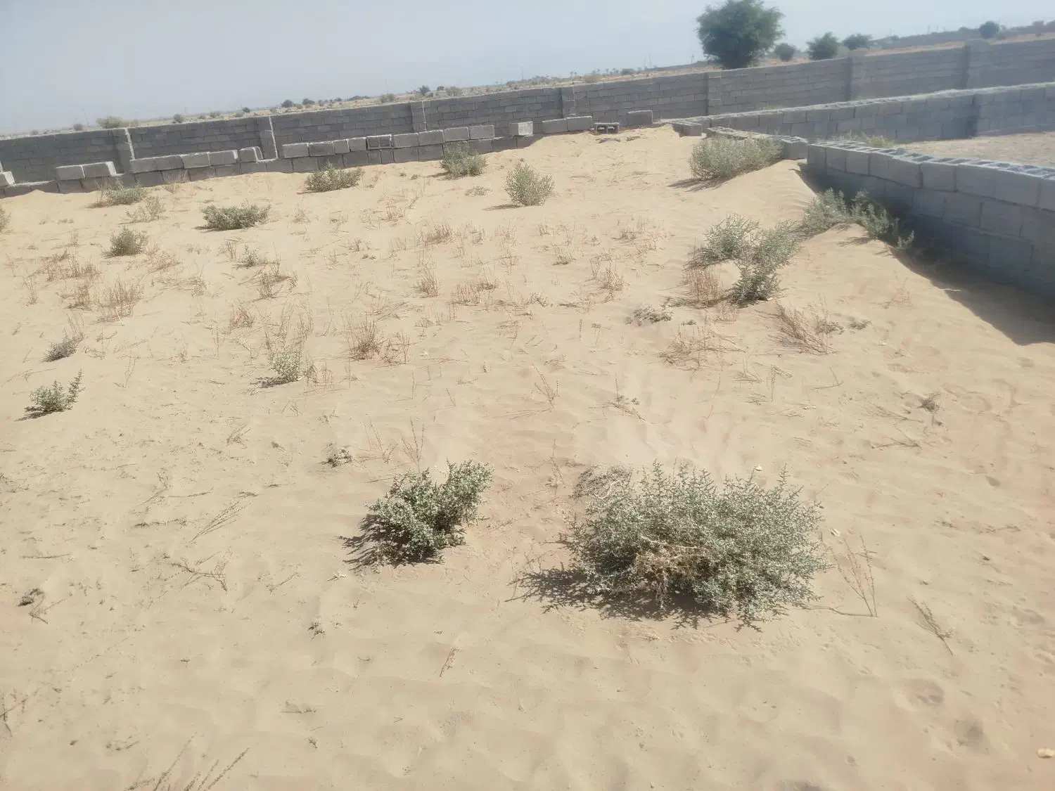 زمین کشاورزی205متری آبپخش|فروش زمین و ملک کلنگی|آبپخش, |دیوار