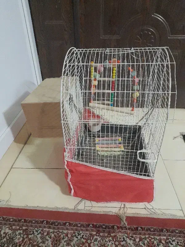 قفس پرنده|لوازم جانبی حیوانات|مشهد, سمزقند|دیوار