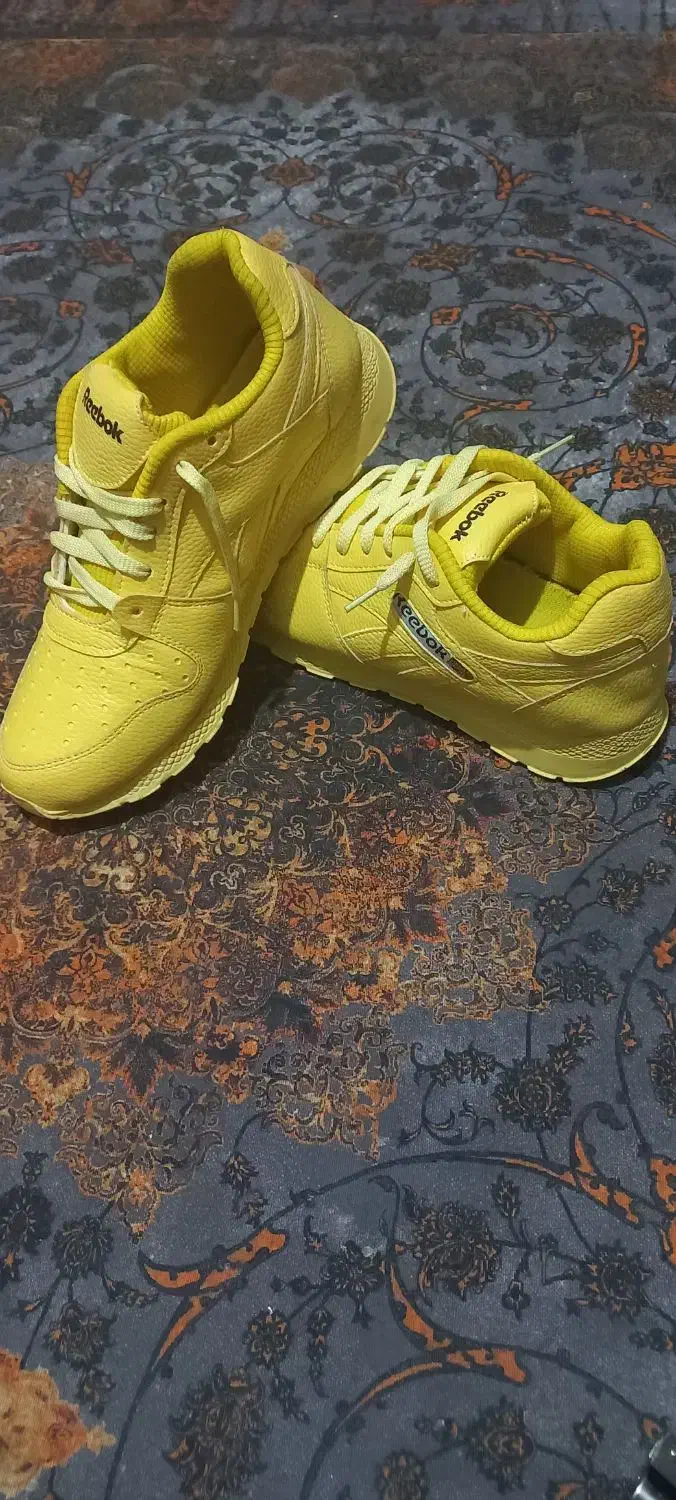 کتونی|کیف، کفش، کمربند|قم, پردیسان|دیوار