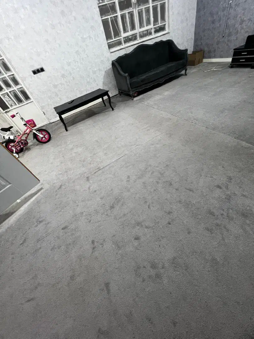 موکت|موکت|آبادان, |دیوار