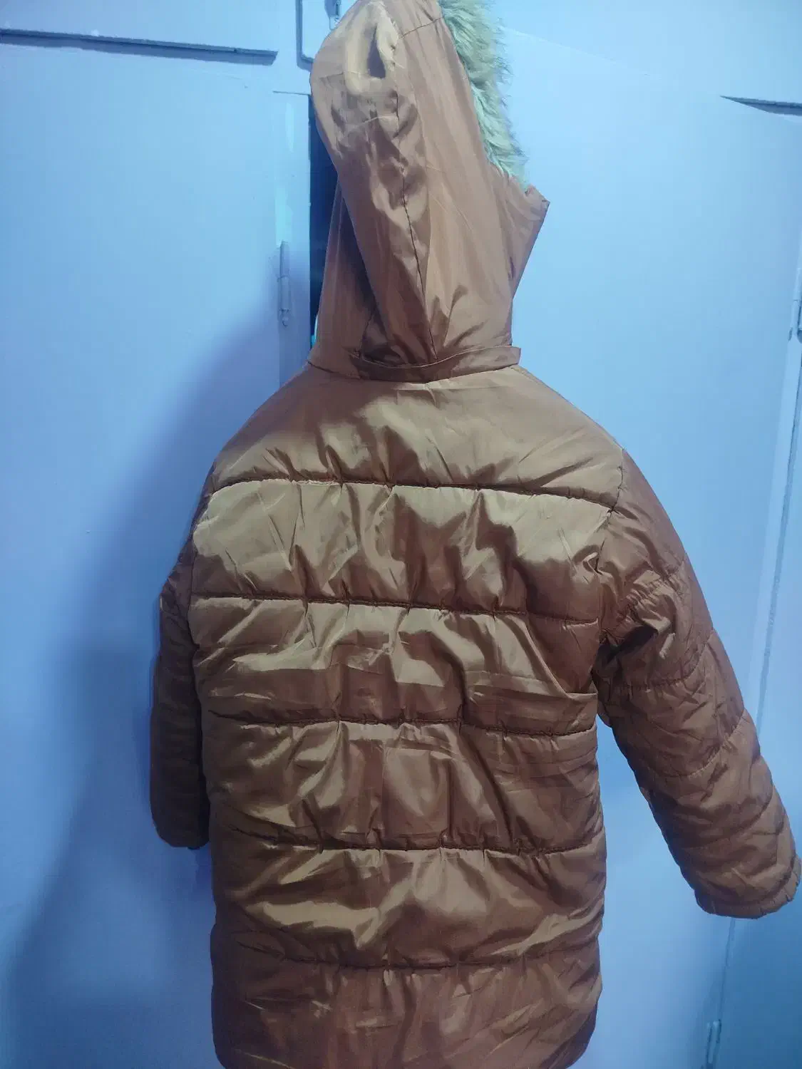 کاپشن  نو|لباس|اهواز, سپیدار|دیوار