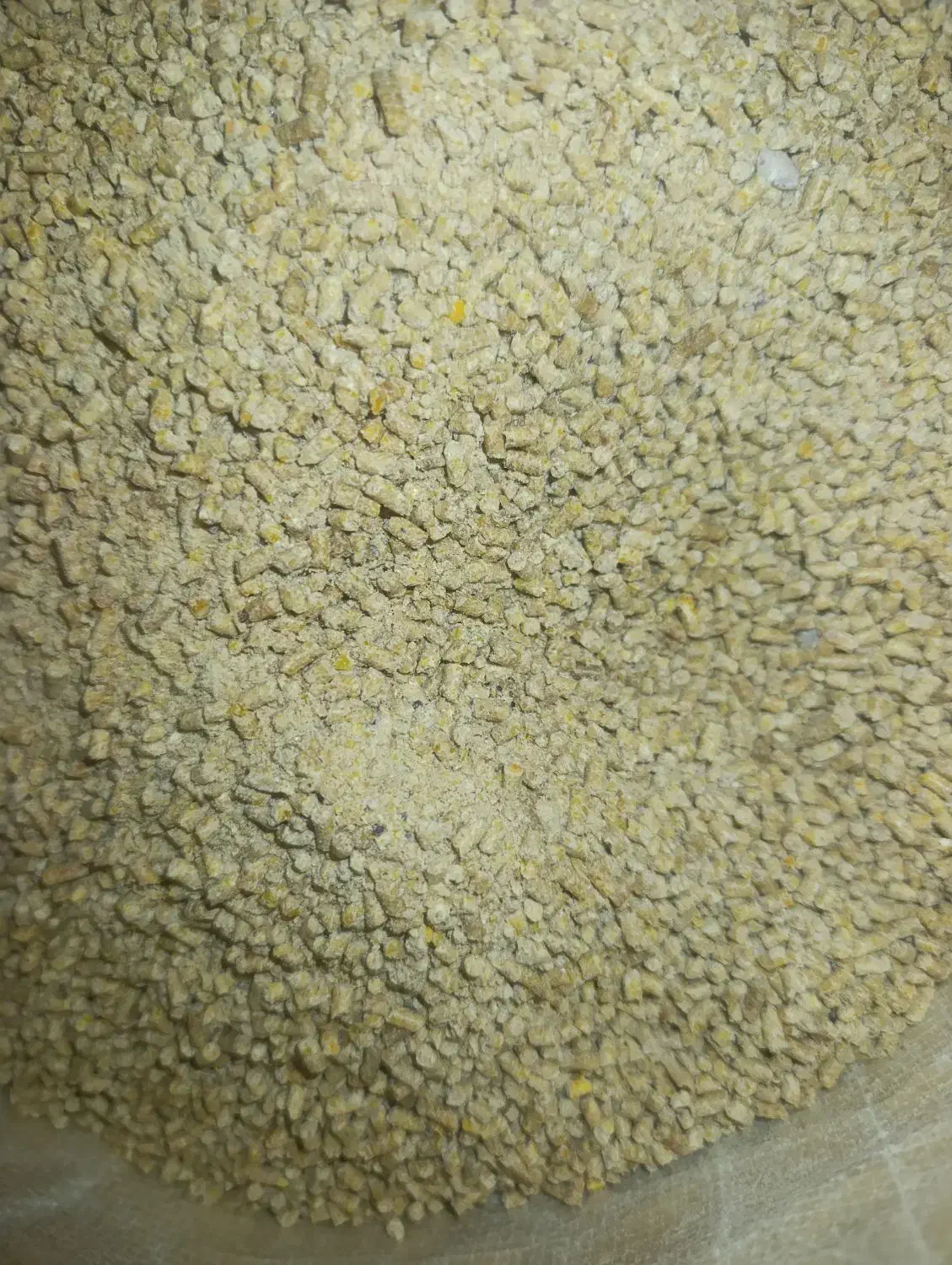 خوراک یا دانه مرغ|حیوانات مزرعه|مشهد, چهارچشمه|دیوار