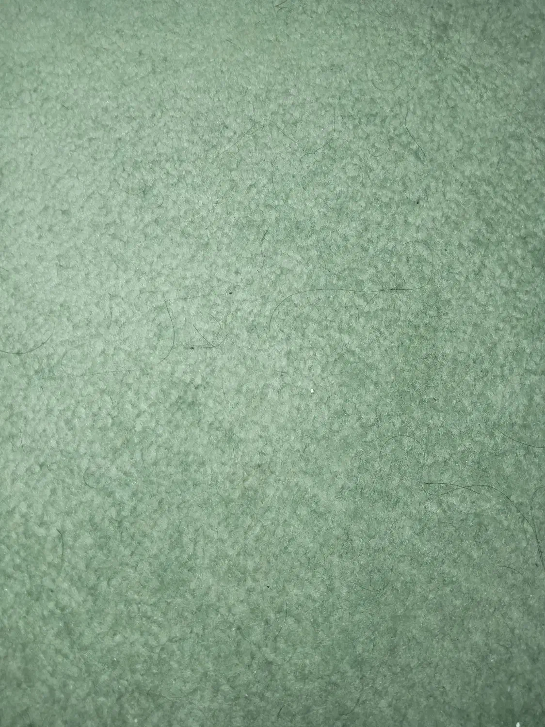 موکت پالاز|موکت|تهران, فرزانه|دیوار