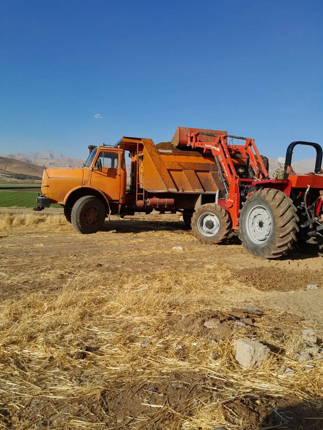 کود حیوانی|خدمات باغبانی و درختکاری|بیستون, |دیوار