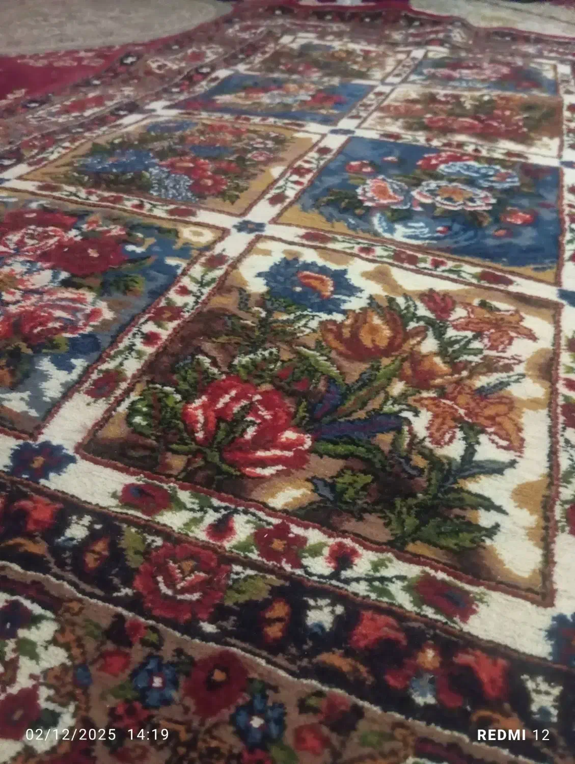 قالی چالشتری|فرش|خمینیشهر, |دیوار