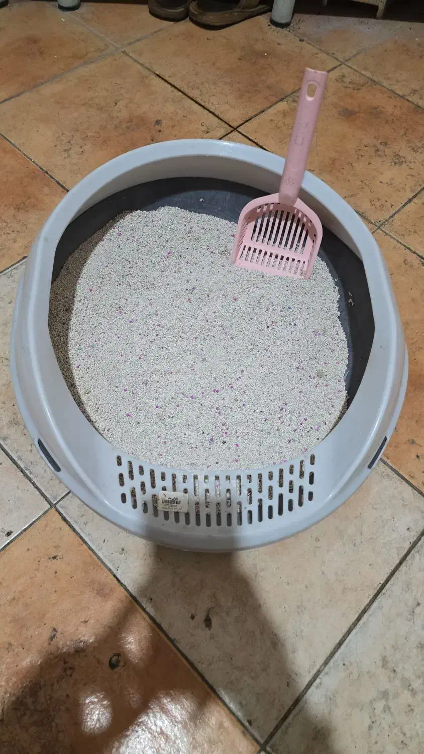 ظرف خاک گربه|لوازم جانبی حیوانات|اندیشه, اندیشه فاز ۵|دیوار