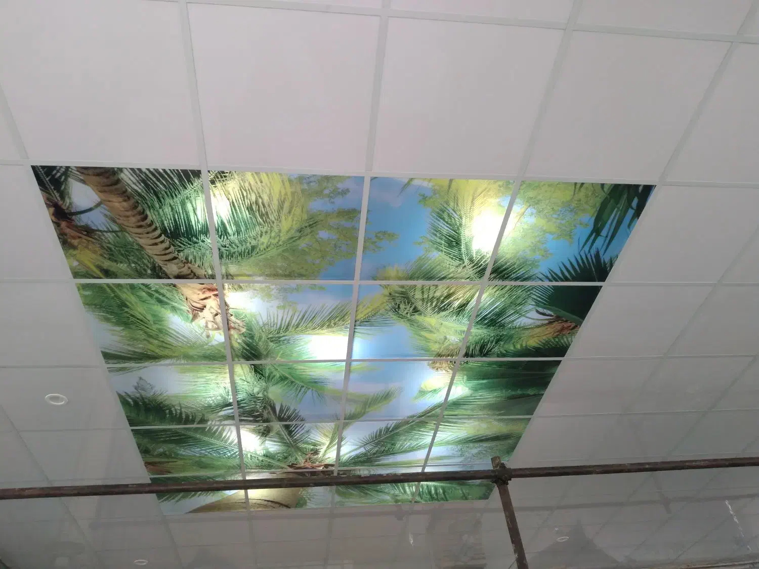 نصب اجرا سقف کاذب|خدمات پیشه و مهارت|کرج, مجتمع صنفی صنعتی|دیوار