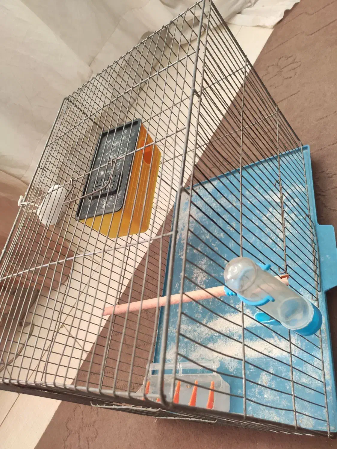 قفس پرنده|لوازم جانبی حیوانات|رفسنجان, |دیوار