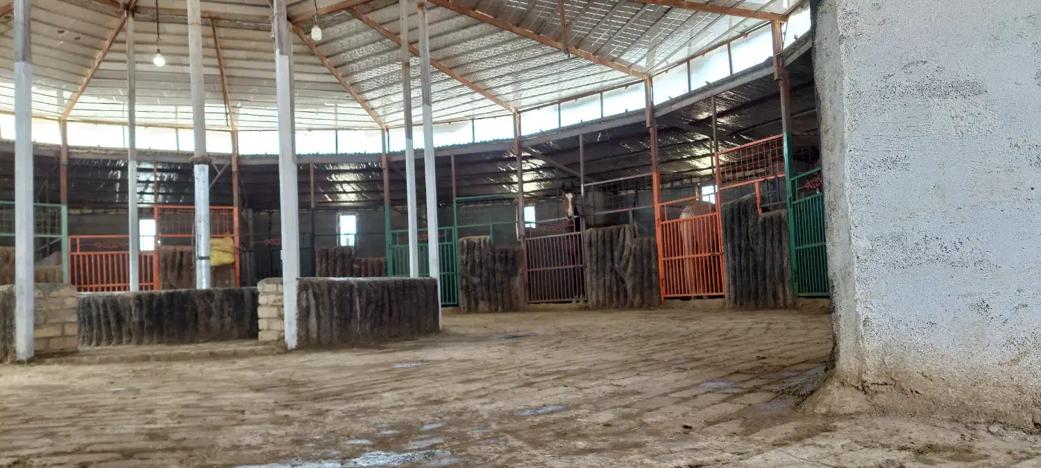 پانسیون اسب|اسب و تجهیزات اسبسواری|سیاخ دارنگون, |دیوار