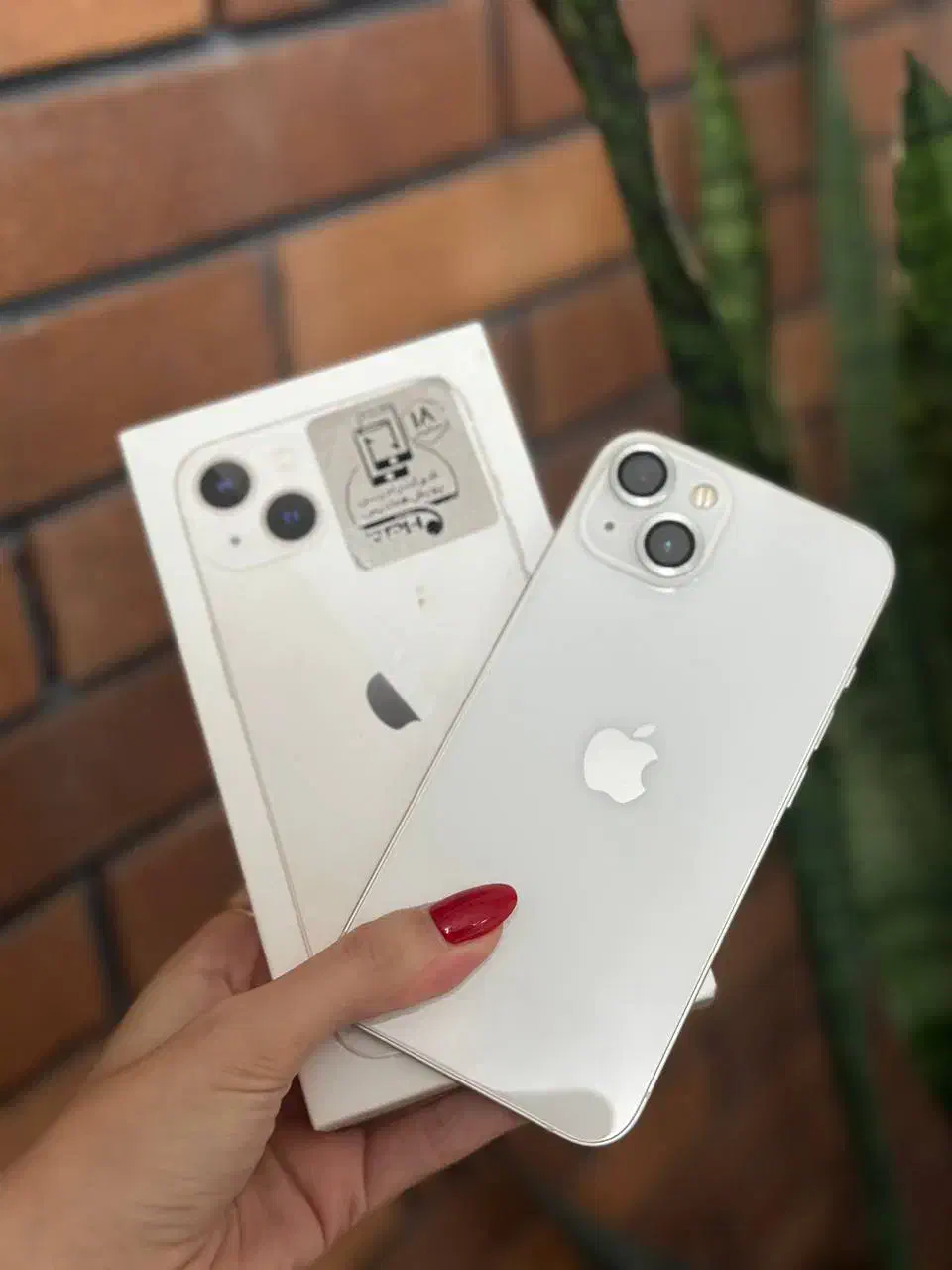 آیفون 13 نرمال|موبایل|گرگان, |دیوار